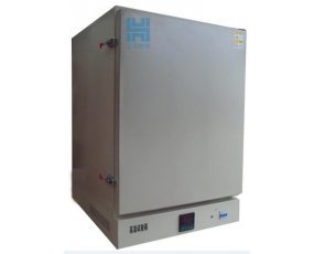 精密型高温箱500度