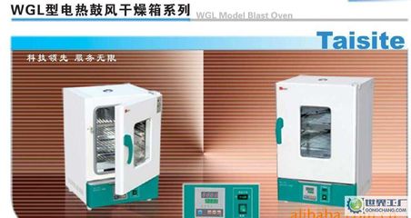 出口型鼓风干燥箱、WGL-30B烘箱、精密恒温干燥箱_鼓风干燥箱 _世界工厂网
