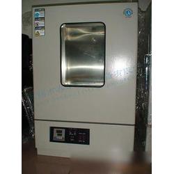 无锡市高温箱批发 高温箱供应 高温箱厂家 