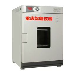 精密鼓风干燥箱烘箱 dhg